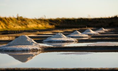 Guerande : 7 places to visit during your stay