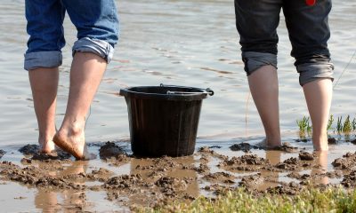 Where to go fishing on foot shellfish and crustaceans in Loire-Atlantique?