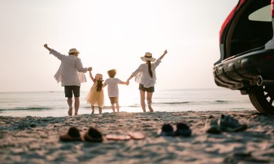 Discover the beaches of Loire-Atlantique and their wildlife