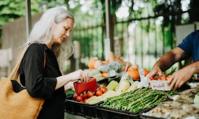 The complete guide to the markets in Piriac-sur-Mer and its surroundings